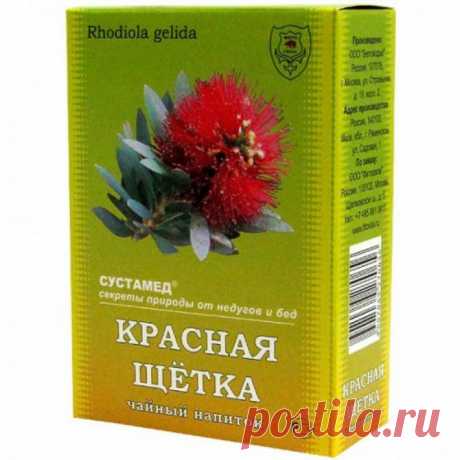 Растение "Красная щетка" - в лечении заболеваний