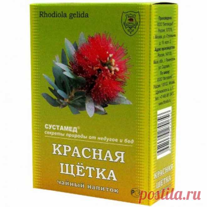 Растение 