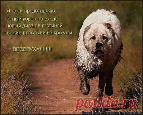 ♥♥Житейская мудрость ♥♥