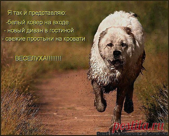 ♥♥Житейская мудрость ♥♥