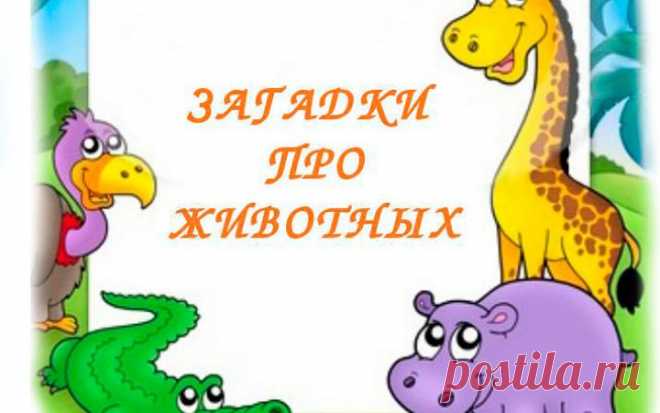 Загадки про животных для детей