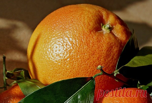 Не забывайте об апельсинах!
----------
Если вы курите, вашему организму требуется в два раза больше витамина C, чем некурящему.

Это происходит потому, что витамин C помогает выводить из организма токсичные вещества, которые образуются при сгорании табака, тем самым снижая вредное воздействие дыма. У курильщиков потребление этого витамина в организме выше.

Кроме того, никотин разрушает запасы этого важного витамина. Чтобы компенсировать его дефицит, важно употреблять как ...