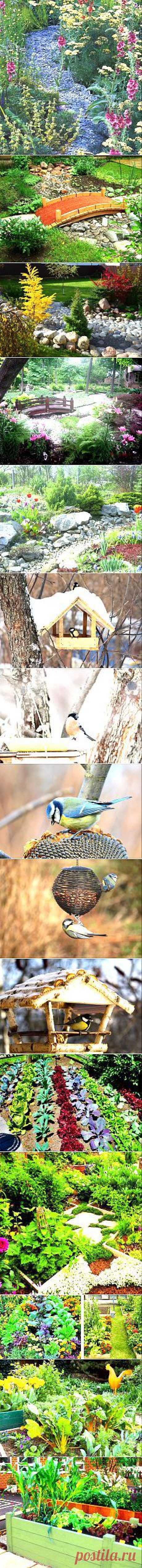 Сад и огород | Постила.ru