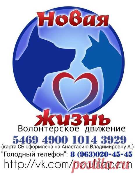 Новости