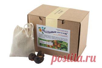 Мыльные орехи. Натуральное моющее средство. Применение.