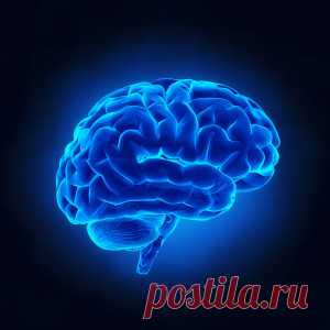 Вязание Польза Для Здоровья - Радости Гипнотерапии