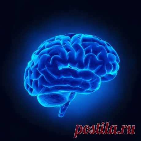 Вязание Польза Для Здоровья - Радости Гипнотерапии