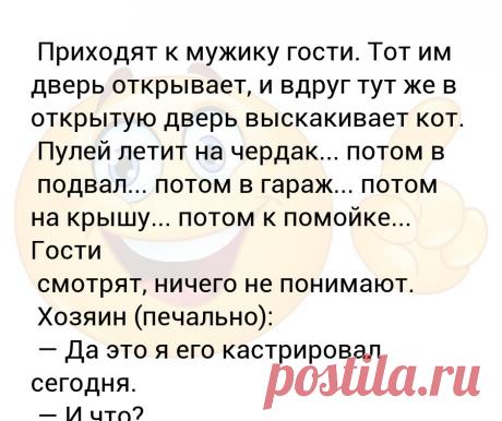 Приходят к мужику гости. Тот им дверь открывает, и вдруг тут же в открытую дверь выскакивает кот.   Пулей летит на чердак... пот... Приходят к мужику гости. Тот им дверь открывает, и вдруг тут же в открытую дверь выскакивает кот. 
 Пулей летит на чердак... потом в
 подвал... потом в гараж... потом на крышу... потом к помойке... Гости
 смотрят, ничего не понимают. 
 Хозяин (печально):
 — Да это я его кастрировал сегодня.
 — И что?

