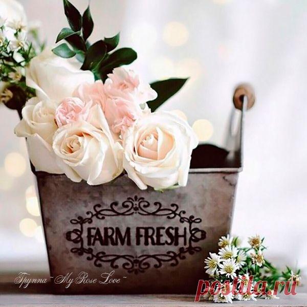 – 29 Июля 2019 г. – Понедельник • День спиртоносного дерева • День поворачивания налево • Международный день тигра (International Tiger Day) День рождения NASA - США • Национальный день куриных крылышек - США • Карнавальный понедельник - Остров Саба • День Сил специальных операций - Украина • День Конституции - Молдова • Национальный день лазаньи - США • Национальный день тайского языка • День прославления святого Олафа - Норвегия • День национального гимна - Румыния • День территории -…