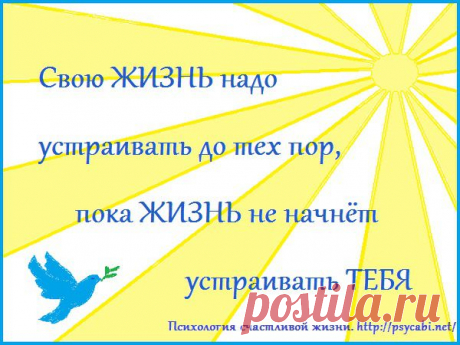 Мотиваторы - Психология счастливой жизни