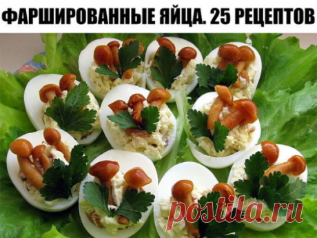 Фаршированные яйца. 25 вариантов начинки.
1. Обжарьте мелко порезанный лук и смешайте с желтком.
2. Твердый сыр с чесноком, майонезом и желтком.
3. Желток с мелко порезанными маслинами или оливками и майонезом.
4. Красная или черная икра. Уже без желтка.
5. Сыр на мелкой терке, грецкие орехи плюс майонез и чеснок. Украсить половинками грецкого ореха.
6. Тунец или сайра с маслинами.
7. Креветки с желтком. Сверху – по целой вареной креветке.
8. Желток, майонез, горчица, соленые огурцы – на терке