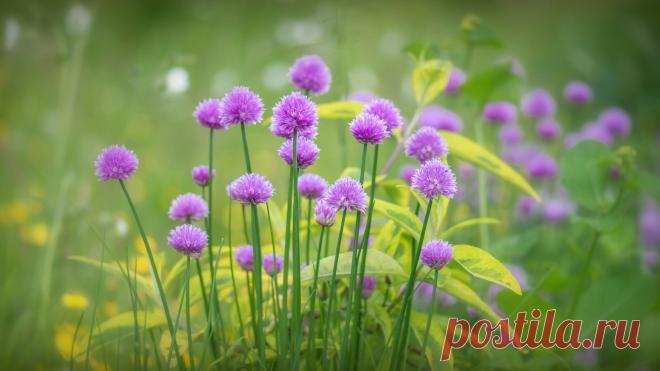 Каждый день прекрасен! 

Как можно говорить что жизнь не прекрасна? Каждый день прекрасен собой, нет такого дня в жизни, в котором нет счастья, настоящего счастья. С самого утра, когда восходит солнце, жизнь уже прекрасна. Ведь в этот день тебя могло уже не быть. Но ты живешь и можешь наслаждаться тем солнцем, что светит, тем ветром, что дует и всем живым вокруг тебя...