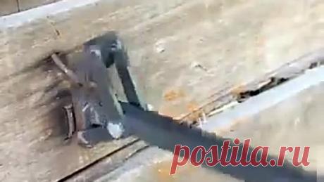 Я не механик - я даже не знаю каким концом отвертки нужно гвозди забивать!