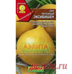 Сорт репчатый Эксибишен (Голландия) - gryadka58.ru