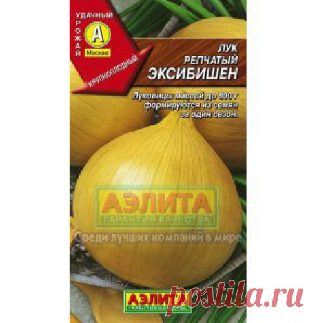 Сорт репчатый Эксибишен (Голландия) - gryadka58.ru