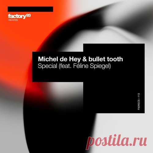 Michel De Hey, bullet tooth, Feline Spiegel – Special [F93RECS113B] free download mp3 music 320kbps