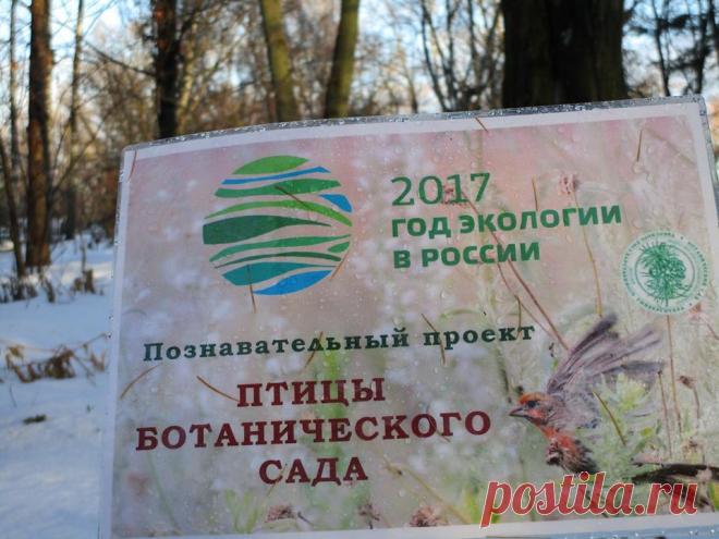 Ботанический сад • Тверь - Хроника