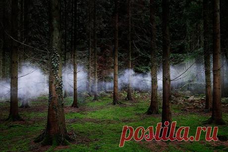 Фото пейзаж - красивые пейзажи фото, пейзажи природы фото – ФотоКто  ///   Элли Дэвис. Мистика в фото пейзаже