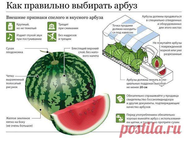 Как правильно выбирать арбуз