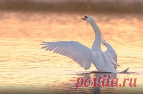 (17) Мой Мир@Mail.Ru