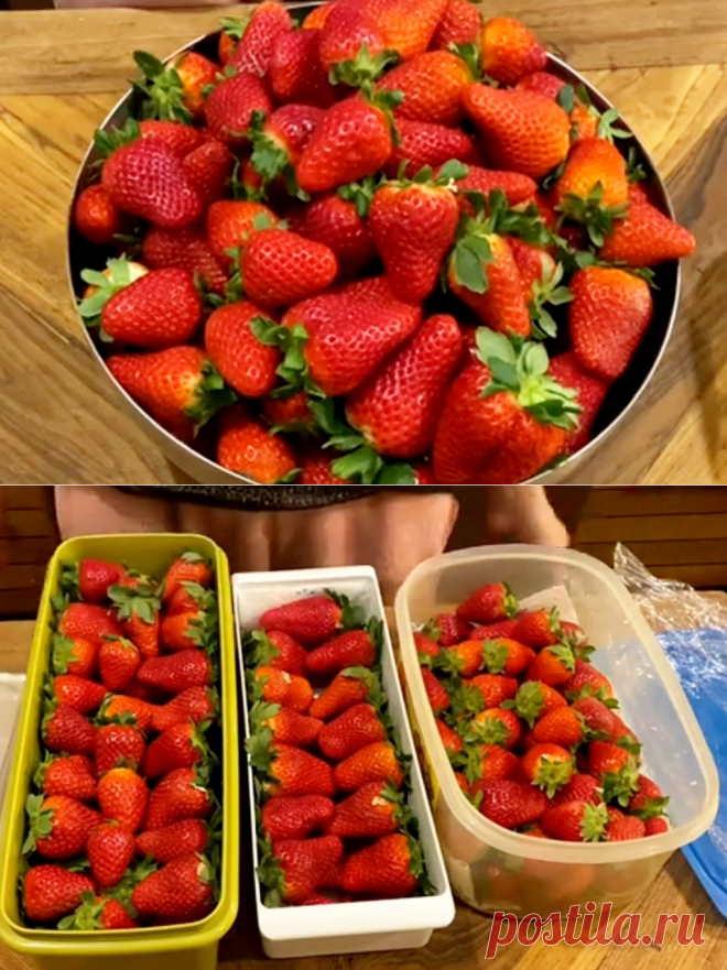 Как хранить клубнику: лучшие способы &#8212; Agro-Info