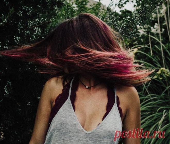 Экологичную краску для волос из черной смородины разработали британские ученые | Наука и технологии