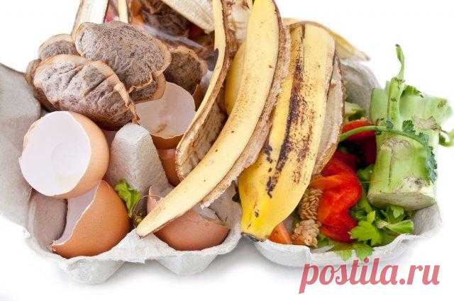 7 продуктов, которые нельзя выбрасывать Утилизируя кухонные отходы, вы не только помогаете экологии планеты, но и обеспечиваете свой участок эффективными, а главное, экологически чистыми, удобрениями.
Среднестатистическая семья из трех чело...