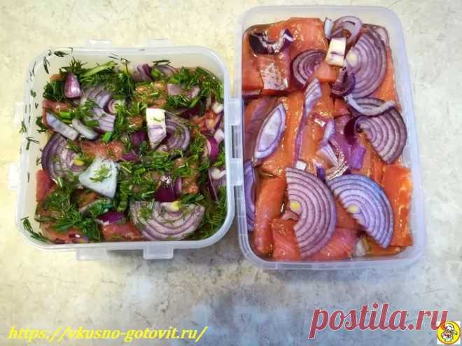 Слабосолёная форель в домашних условиях — 6 очень вкусных быстрых рецептов