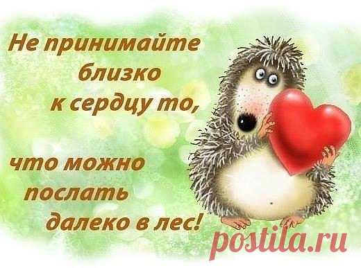 ЛУЧШИЙ ЖЕНСКИЙ ЮМОР