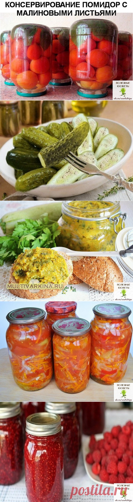 (1) Одноклассники