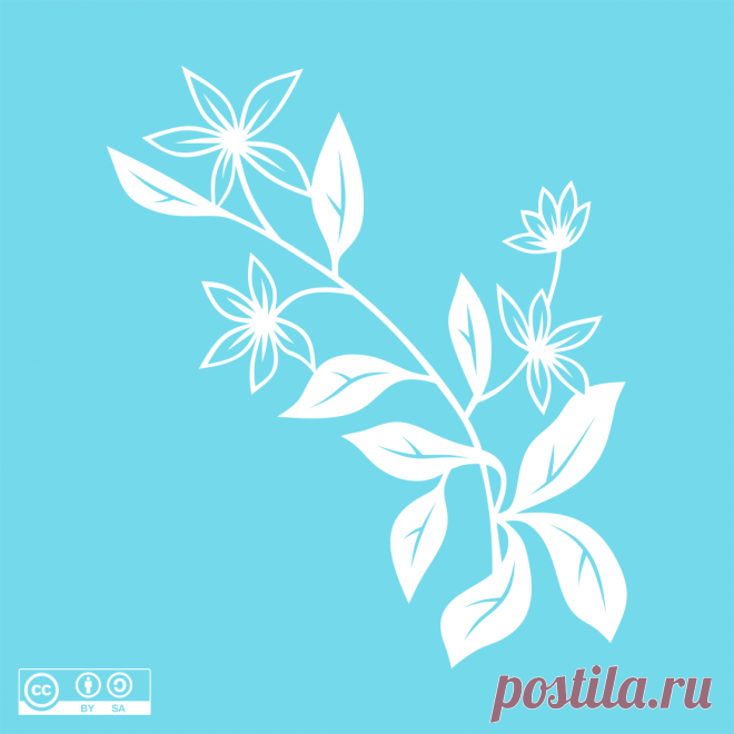 ⭐Автор: Paula Gail ⭐Источник:vk.com/wall-219473264_254
Стебель белого цветка
Скачать👉
ЯндексДиск - https://disk.yandex.ru/d/uKrrh0y0cwCR2A

Цветы 88
#вытынанка #вырезка #svg #dxf #pdf #макет #шаблон #трафарет #оформление
вытынанка вытынанки svg dxf pdf макеты шаблоны трафарет вектор
оформление окон панно наклейка лобзик лазер чпу
выцінанка витинанка вырезка выцинанка вытыканка