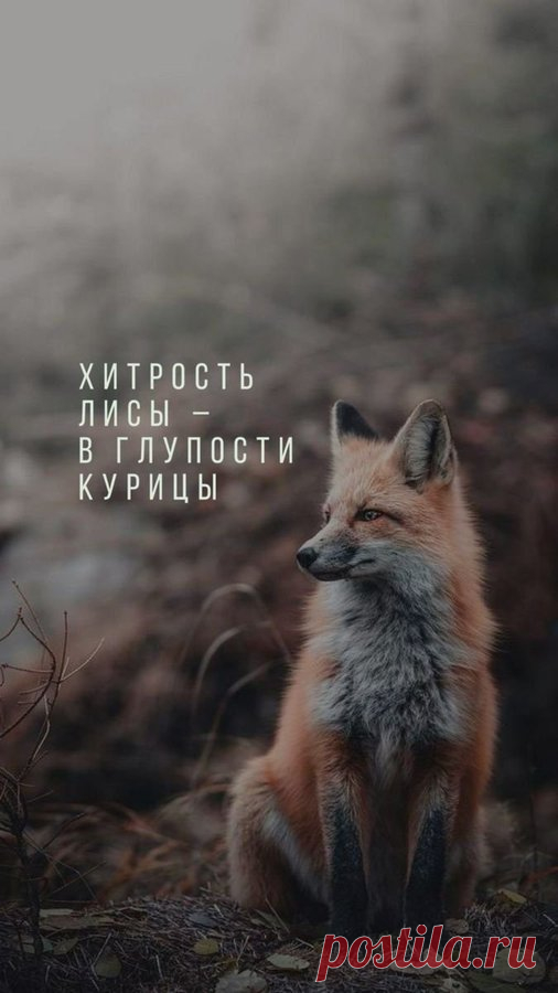 Оксана SK (@Oxana_SK) / X