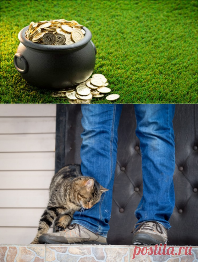 10 признаков приближающегося везения: какие знаки сулят достаток и удачу Кликайте на фото, чтобы прочитать ⤴