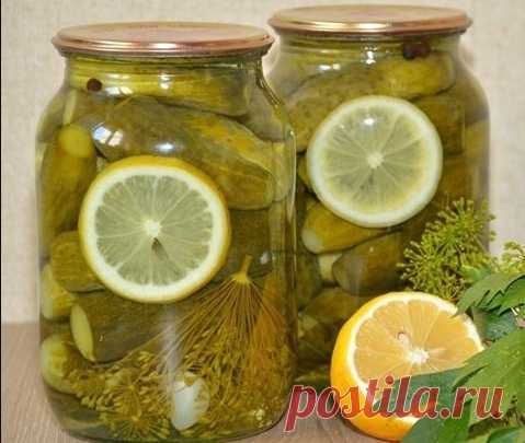Потрясающе вкусные огурчики «Пражские». Записывайте рецепт!