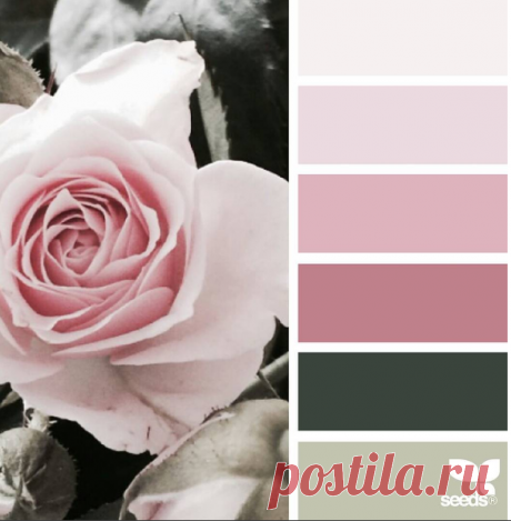 jessica colaluca (@designseeds) • Фото и видео в Instagram