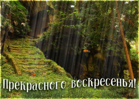 Прекрасного воскресного дня