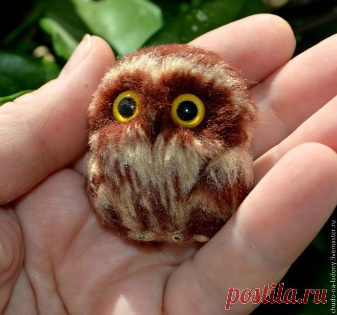 «Малыш кругляш» — карточка пользователя amano в Яндекс.Коллекциях