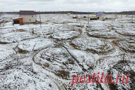 Кости неизвестных животных возрастом в миллионы лет нашли в российском регионе. В Чурапчинском районе Якутии ученые обнаружили стоянку древнего человека, где раскопали в том числе и кости неизвестных животных. Об этом сообщил Альберт Протопопов, завотделом мамонтовой фауны Академии наук Якутии, его слова приводит ТАСС. Стоянке не менее 30 тысяч лет, а найденные кости относятся к неогену.