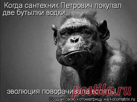 Улыбнись!
