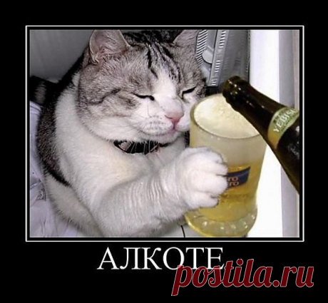 улыбнитесь!