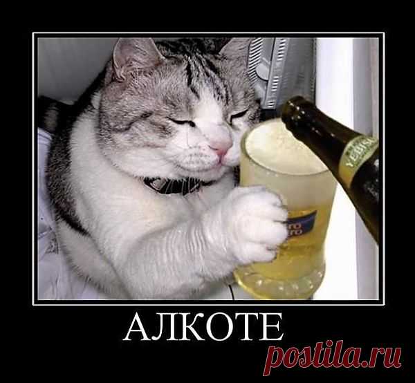 улыбнитесь!