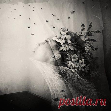 the stars like dandelions (@marta_orlowska)