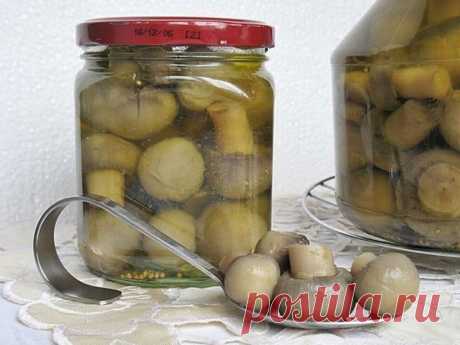 ШАМПИНЬОНЫ НА ЗИМУ

Что может быть вкусней ароматной великолепнейшей смачной заготовки из грибочков. Эта вкуснятина всегда будет идеальной закуской или великолепным дополнением к любому блюду.

Ингредиенты для приготовления грибов на зиму:
Показать полностью...