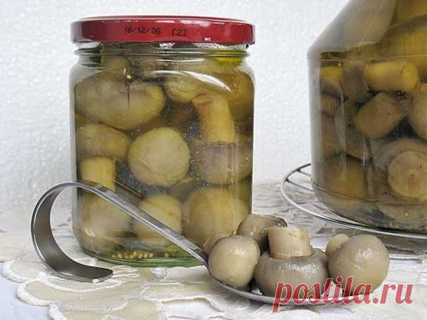 ШАМПИНЬОНЫ НА ЗИМУ

Что может быть вкусней ароматной великолепнейшей смачной заготовки из грибочков. Эта вкуснятина всегда будет идеальной закуской или великолепным дополнением к любому блюду.

Ингредиенты для приготовления грибов на зиму:
Показать полностью...
