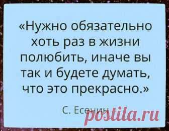 Олена Сотирова