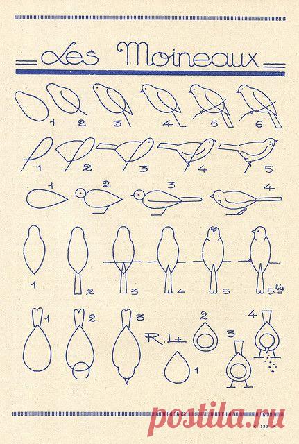 how to draw a bird | Crafty Inspiration: draw, paint, color | Pinter…