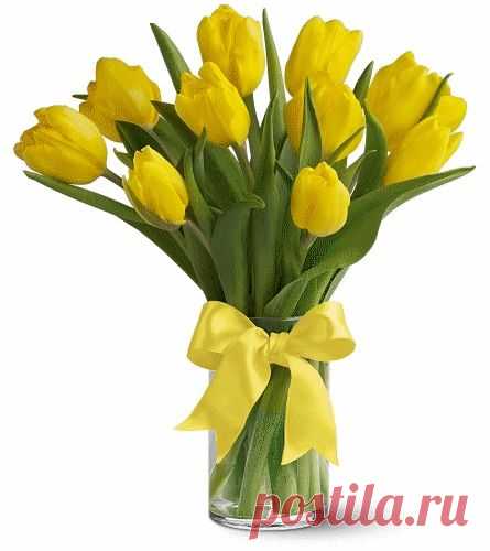 ДАРИТЕ ЖЁЛТЫЕ ЦВЕТЫ.