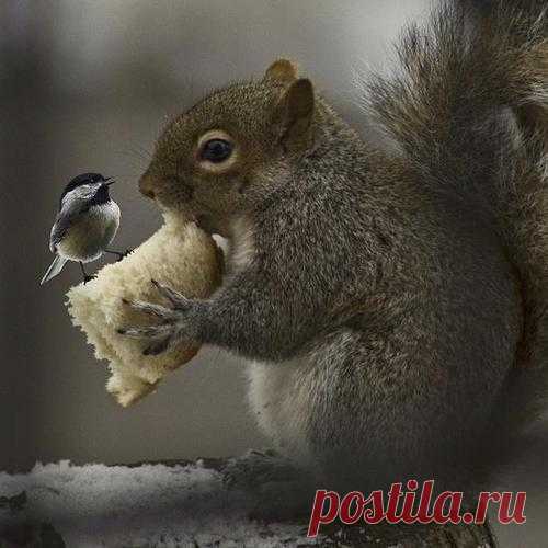 жемчужный