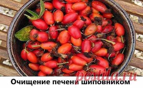 Очищение печени шиповником. 

Еще один простой и эффективный народный способ очистки печени – шиповником. Берем две горсти сухих ягод шиповника, кладем их в термос и заливаем 0,5 литра горячей воды. 
Настаиваем около 12 часов, наливаем настой шиповника в стакан, тщательно размешиваем в нем 3 столовые ложки ксилита, либо сорбита. 
Выпиваем смесь залпом с утра натощак, через 20 минут стараемся выпить еще стакан чистого настоя шиповника. Завтракать можно только через час посл...