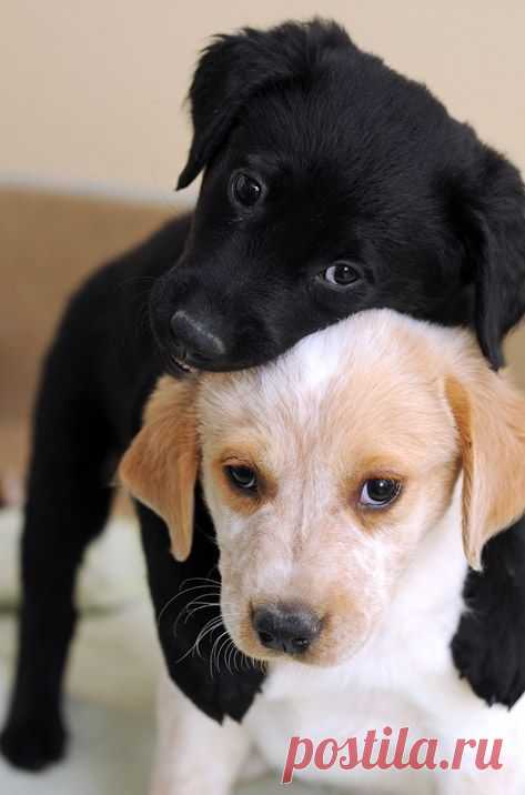 my best friend...